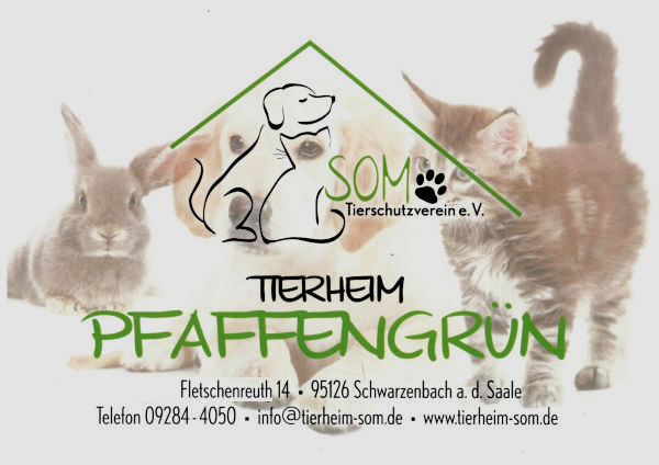 Tierheim Pfaffengruen Bild